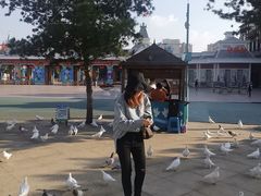 -沈阳方特欢乐世界