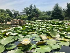 -白马涧龙池景区