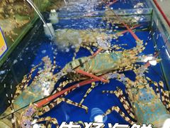 -东江海鲜酒家(艺都分店)
