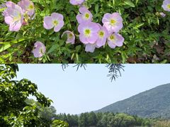 -长广溪湿地公园