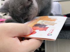 -安安宠物医院(情缘分院)