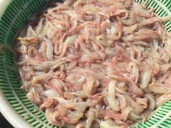 -何庄子阿米玛玛农产品批发市场