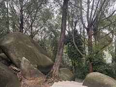 -火炉山森林公园