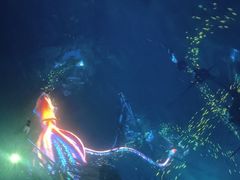 -海合安成都极地海洋公园