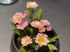 -喜湘宴·精致湖南菜(和平西桥店)