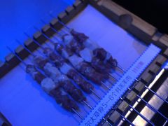 -很久以前羊肉串(打浦路店)