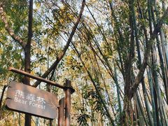 -广州长隆野生动物世界