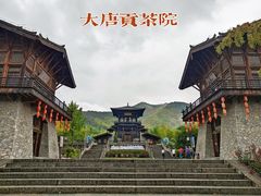 -大唐贡茶院