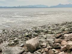 -深圳湾公园(南山区)