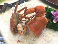 -友强·23年特色海鲜大排档(厦门店)