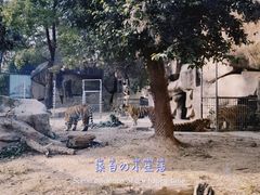 -荆州中山公园动物园