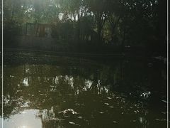 -西安市长乐公园