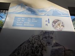 -青藏高原野生动物园