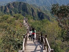 -大岭沟猕猴桃谷风景区