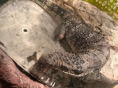-上海大自然野生昆虫馆