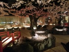 -蓝鲸湾汤泉(包河店)