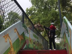 -荆州中山公园动物园