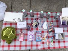 -洋湖国家湿地公园