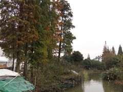 -锦江中华村农家乐饭庄