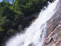 -广州白江湖森林公园