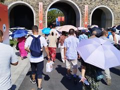 -观潮胜地公园