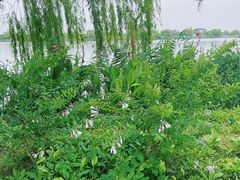 -南北湖风景区