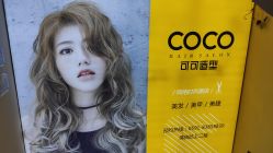 -可可丽舍