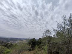 -高尔山公园