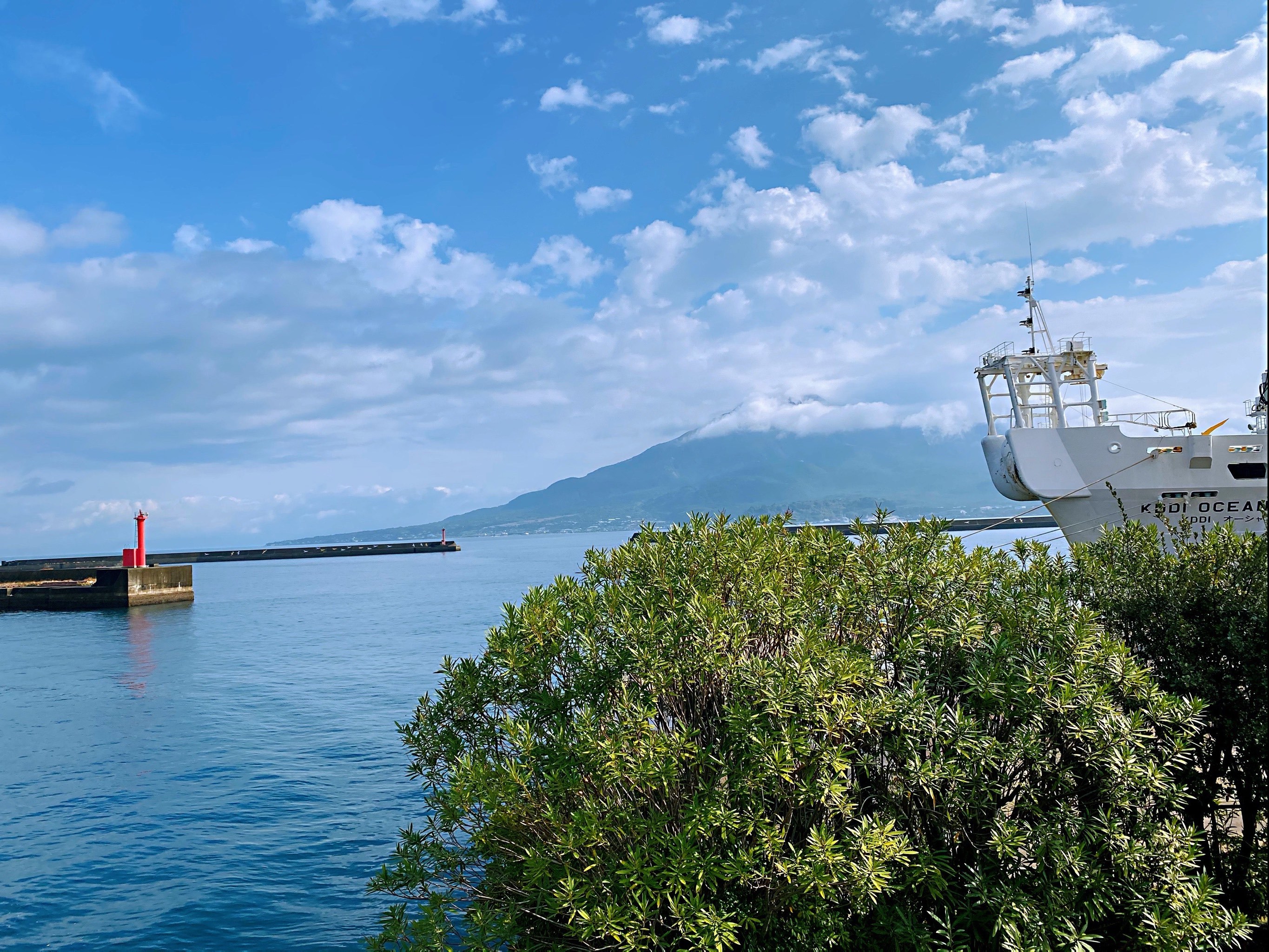 海豚港是鹿儿岛一个重要的交通枢纽点,邮轮