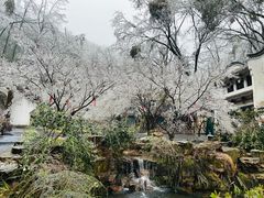-岳麓山风景名胜区