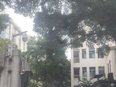 -广州市第一人民医院(院本部)