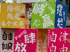 -上海共青森林公园