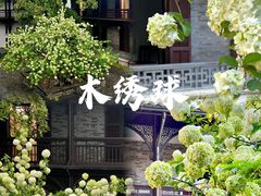-何园
