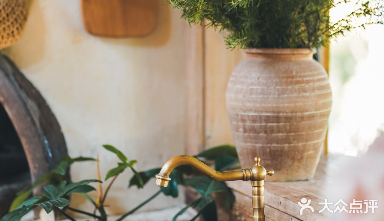 建筑师的稻田咖啡馆，美出天！