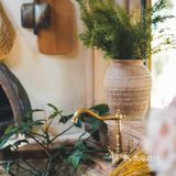 建筑师的稻田咖啡馆，美出天！