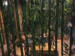 -家乐比水文化休闲广场(望花都店)