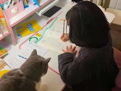 -东方名猫馆·英短金渐层布偶猫舍(环线广场1号楼店)
