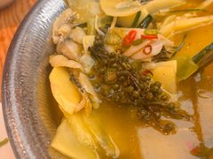-滇铺子·云南特色菜·第九届野生菌美食节(东风东路c86店)