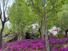 -沂蒙云瀑洞天景区