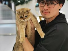 -飞行喵MR PILOT|猫舍·猫咖(静安大融城店)