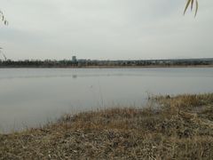 -绿堤公园