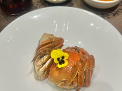 -新光酒家·河豚·海鲜·蟹料理(浦东店)