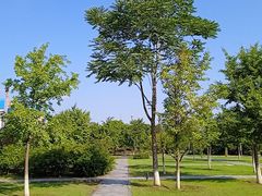 -太阳宫公园