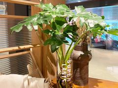-米仓食堂(凯德广场店)