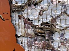 -昆山城市生态森林公园