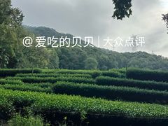 -东航云逸酒店(九溪烟树店)