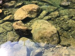 -白云源风景区
