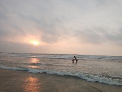 -日照海滨国家森林公园