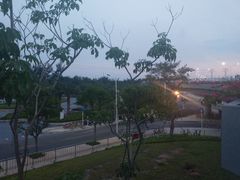 -宝安西湾红树林湿地公园