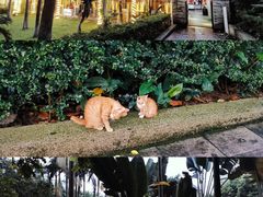 -顺丰轩园林酒家(天河店)